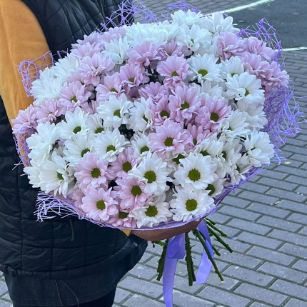 букет из розовой кустовой хризантемы - купить с доставкой в по Санкт-Петербургу